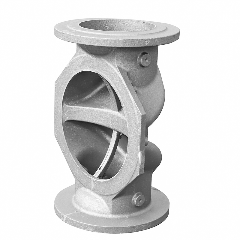 Check Valve body