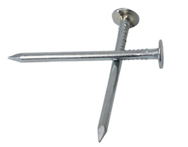 Best Quality Umbrella Head Roofing Nail
