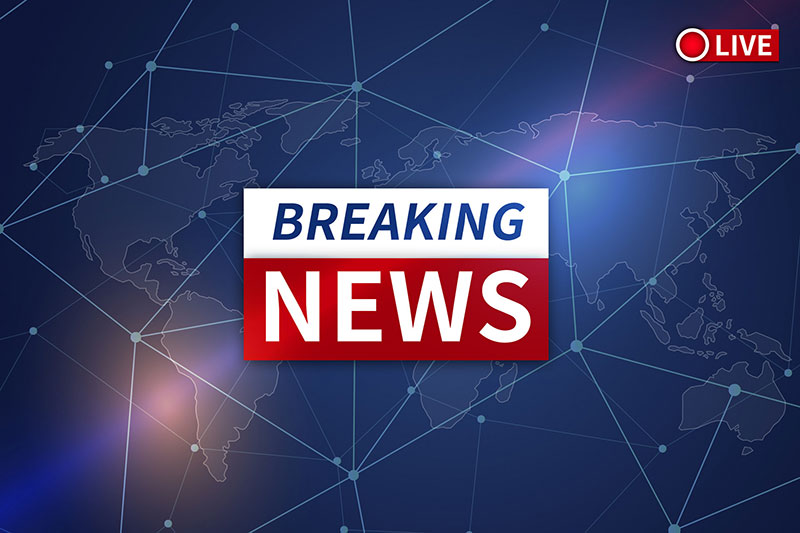 As “COVID-19″ is expected to have a huge impact on sales in 2020, the “Global Industrial Castings Market Forecast to 2027″ was revised in the “New Future Insight Report”.